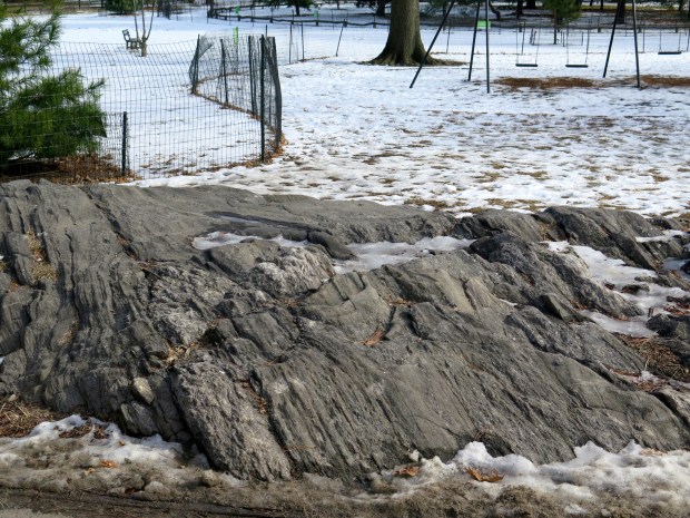 Most of the rocks in Central Park were deliberately chosen and placed in the plans.