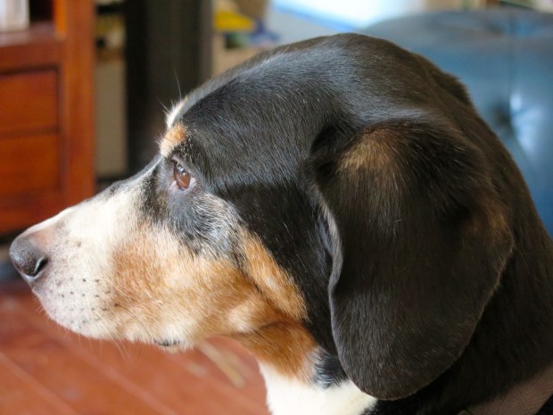 Not perky, but still with me.