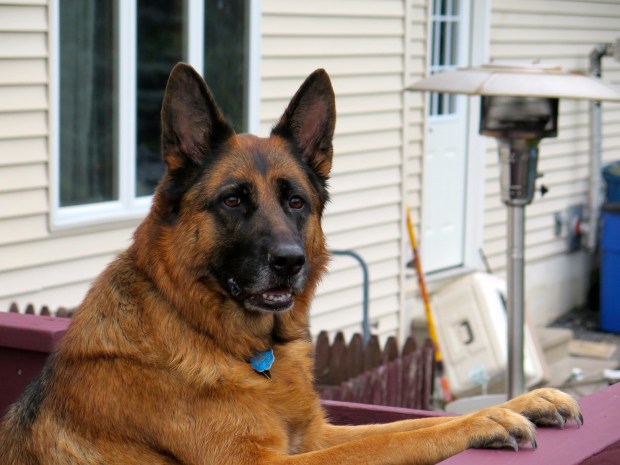 She let the guests know exactly where they should go