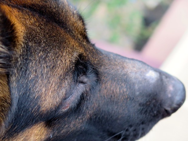 while he watched her