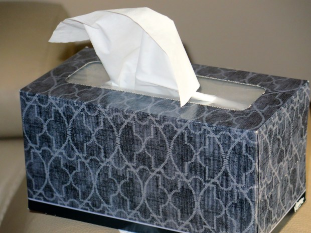 My week, in a tissue box.