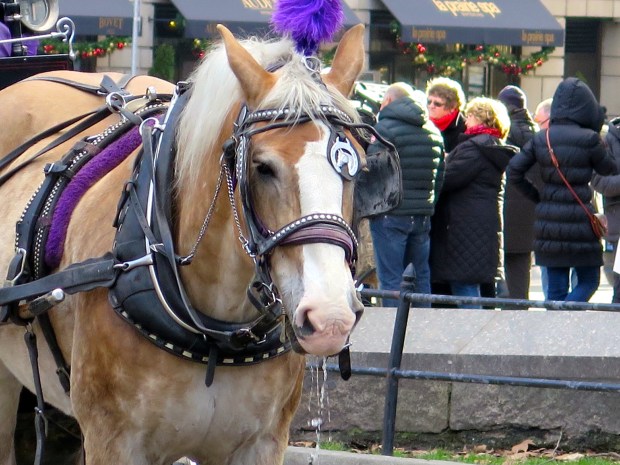 I'll stick with tea, thanks.