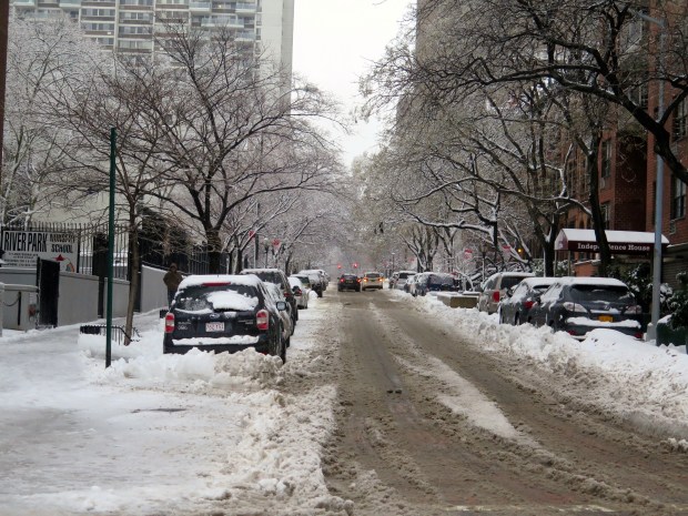 Ice encased trees, beautiful. The reality of walking and driving on those icy streets, something else entirely.