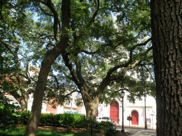Beautiful "squares" sprinkled throughout the city, makes it feel like a movie set.