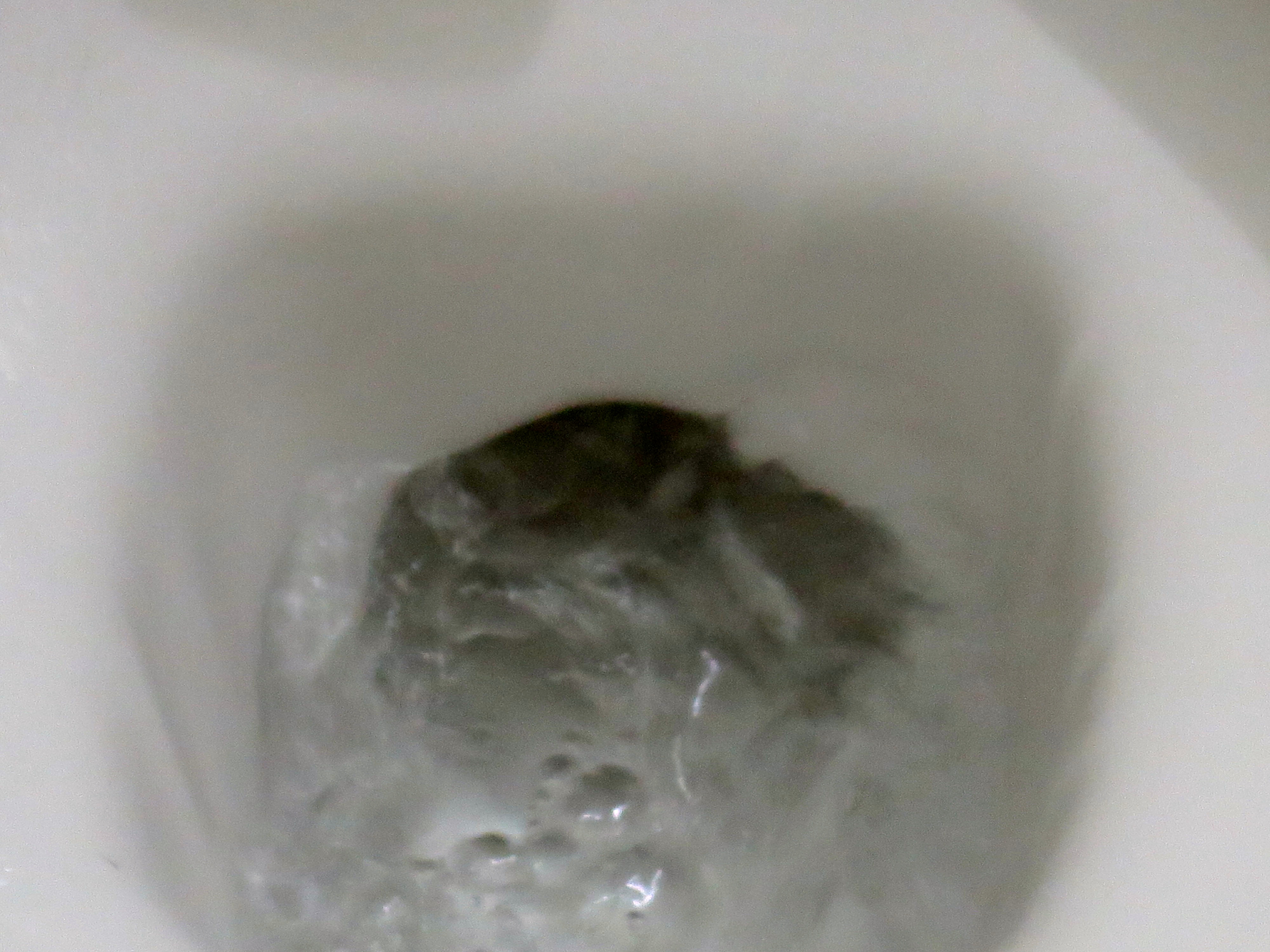 Fuzzy flush for a fuzzy year