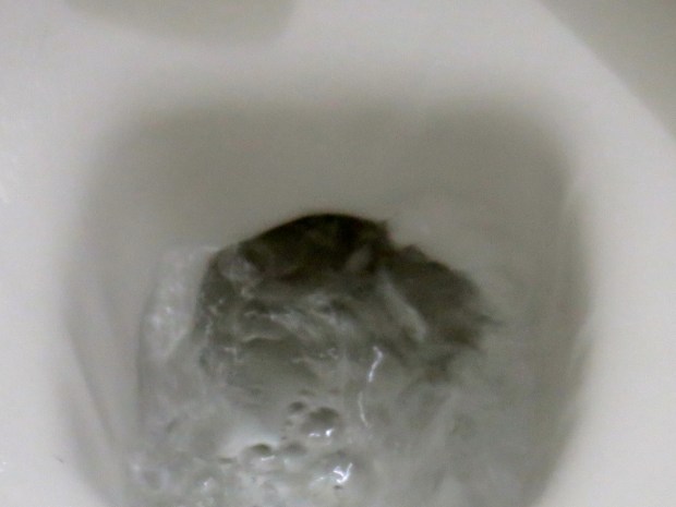 Fuzzy flush for a fuzzy year