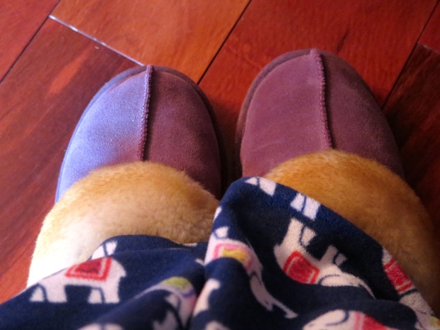 Conflicted Slippers